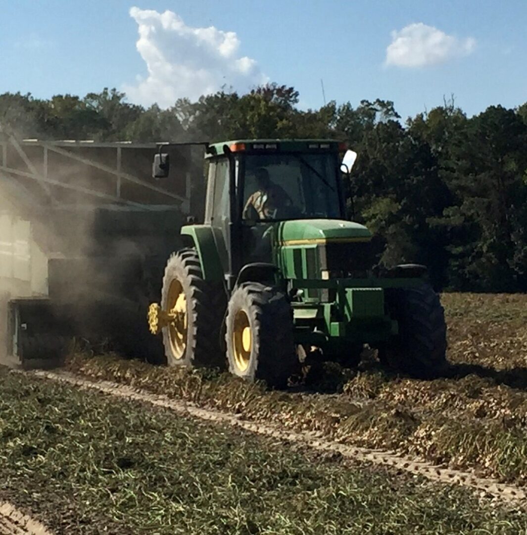 BSTC Picking Peanuts